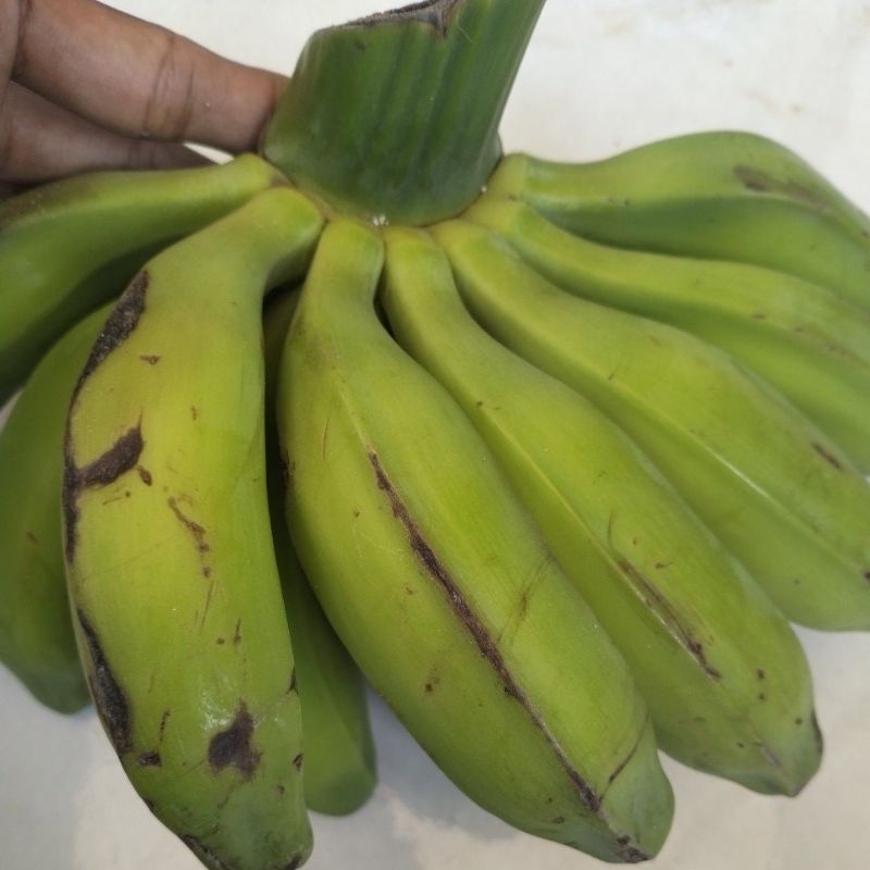 

Paket 1Kg Pisang Klutuk Muda Pisang Batu Segar.