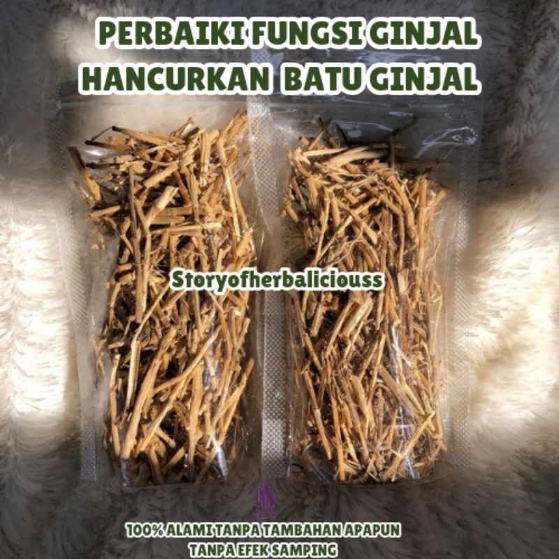 

REMPAH JSR AKAR ALANG-ALANG PERBAIKI FUNGSI GINJAL storyofherbaliciouss