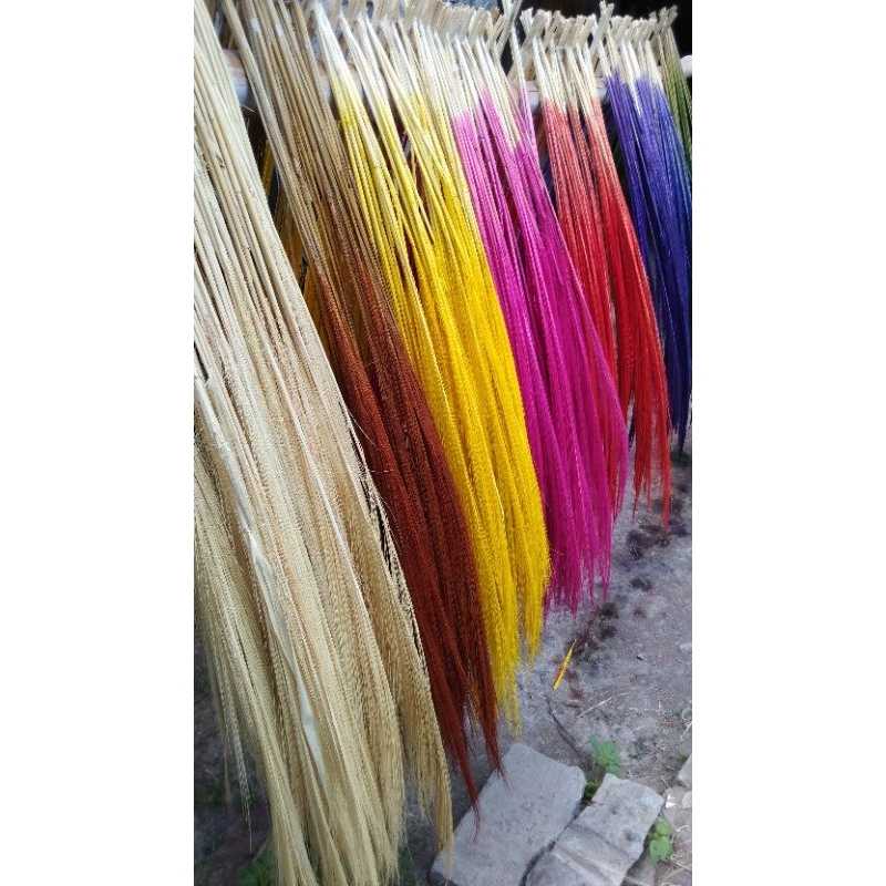 pampas rayung dekorasi bunga kering rustic