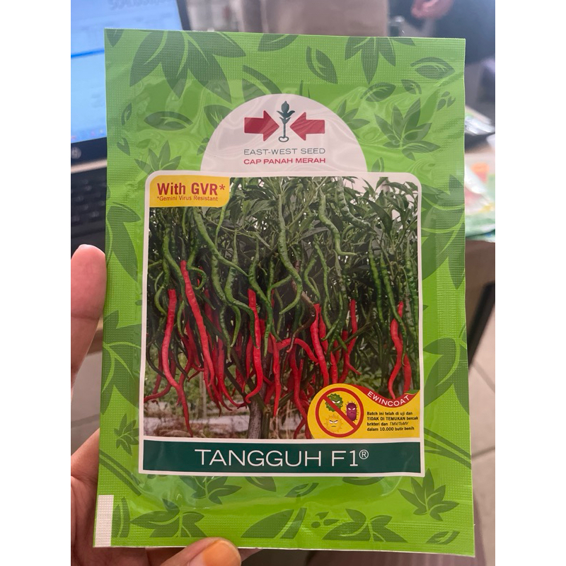 Benih Cabai merah keriting TANGGUH Cap Panah Merah
