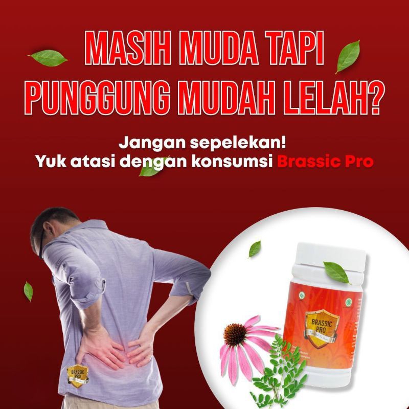 Brassic Pro