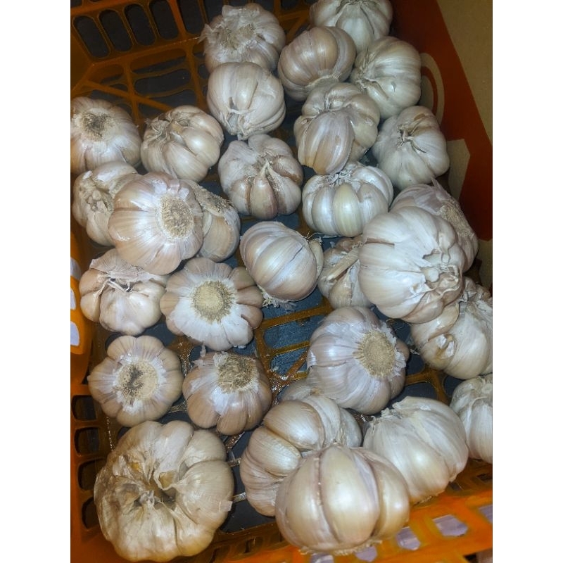 

Bawang putih 500grm/1000grm