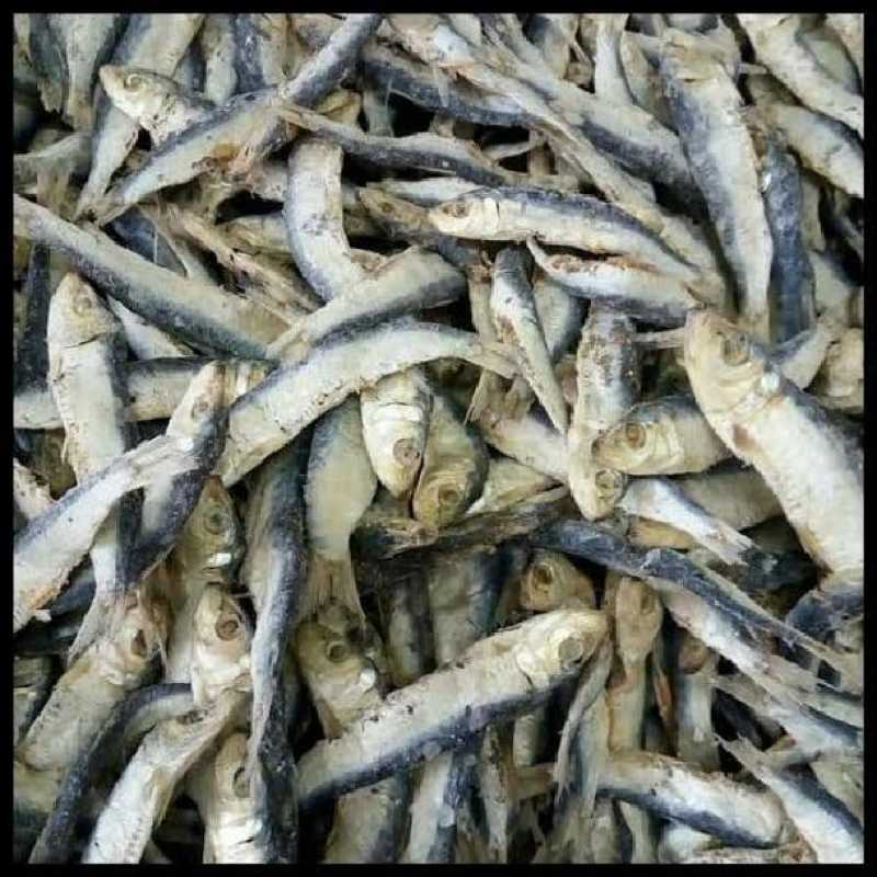 

COD termurah ikan asin japuh belitung / japuh merah super 500 gram best seller