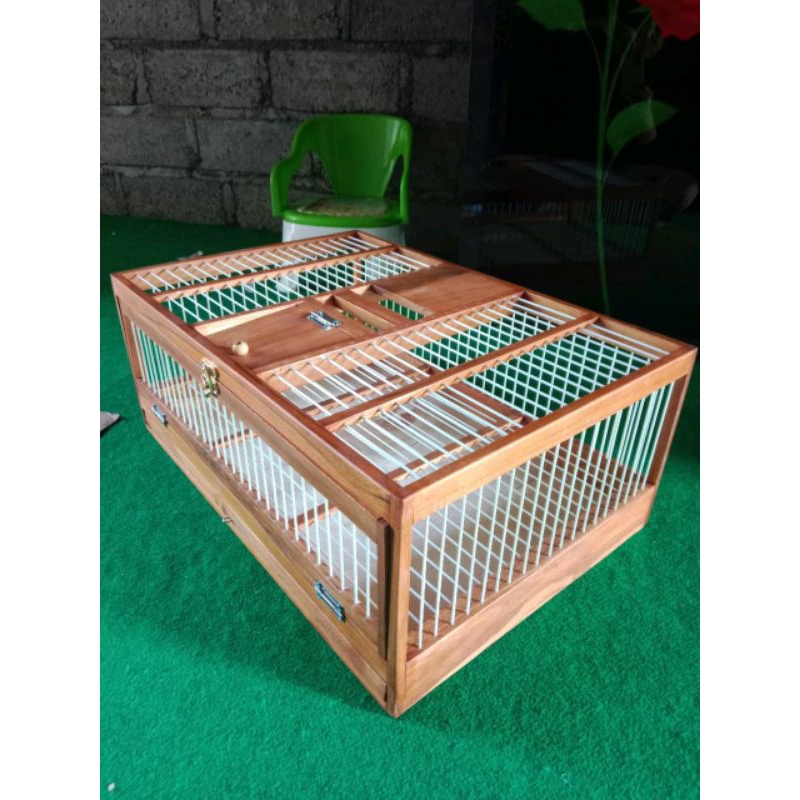 dongdang merpati pos