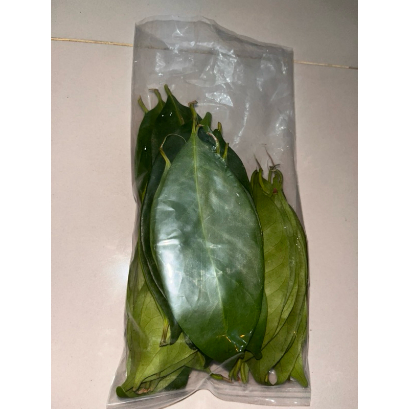 

Daun Salam Segar / Fresh Bay Leaf