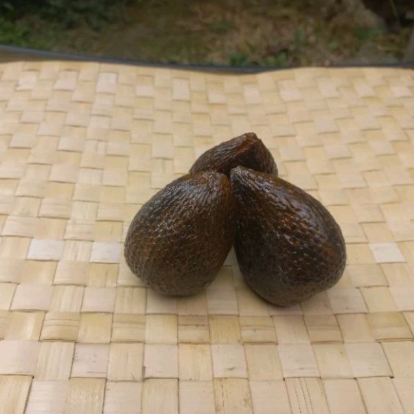 

Replika Buah Salak 3pcs/ Replika Buah-buahan/ Replika sayuran