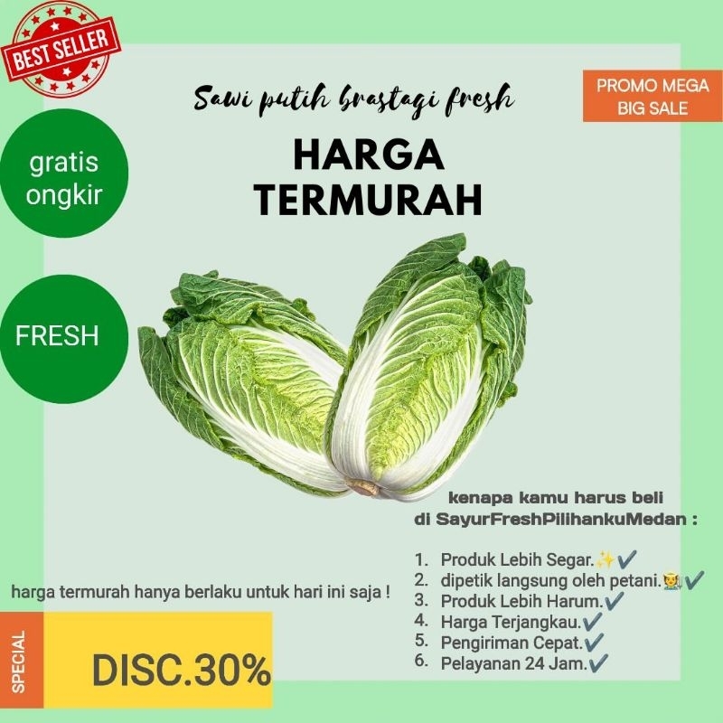 

promo sawi putih Brastagi segar dipanen langsung oleh petani| siap kirim