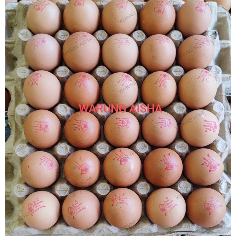 Telor Telur Omega 3 Organik TOP