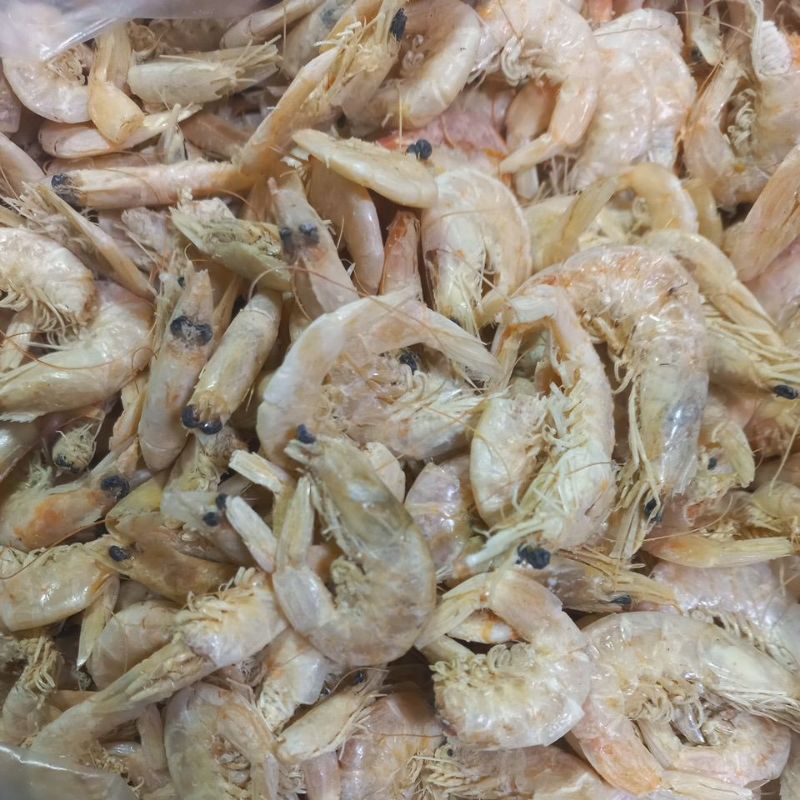 

Ikan Udang Manis