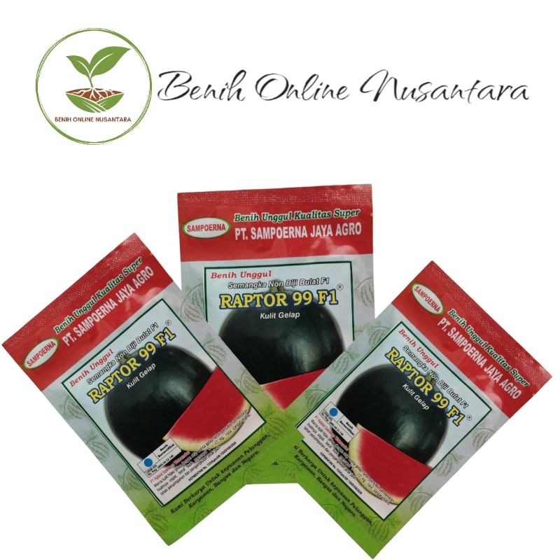 Benih Semangka bulat non biji RAPTOR F1 original BENIH SAMPOERNA