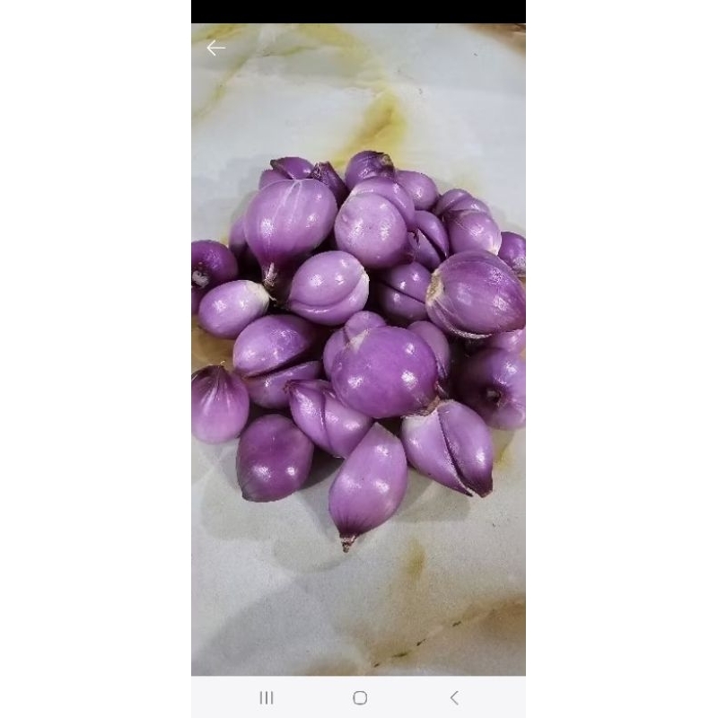 

BAWANG MERAH KUPAS 1 KG