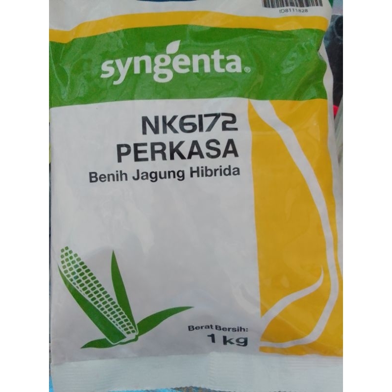 benih jagung perkasa