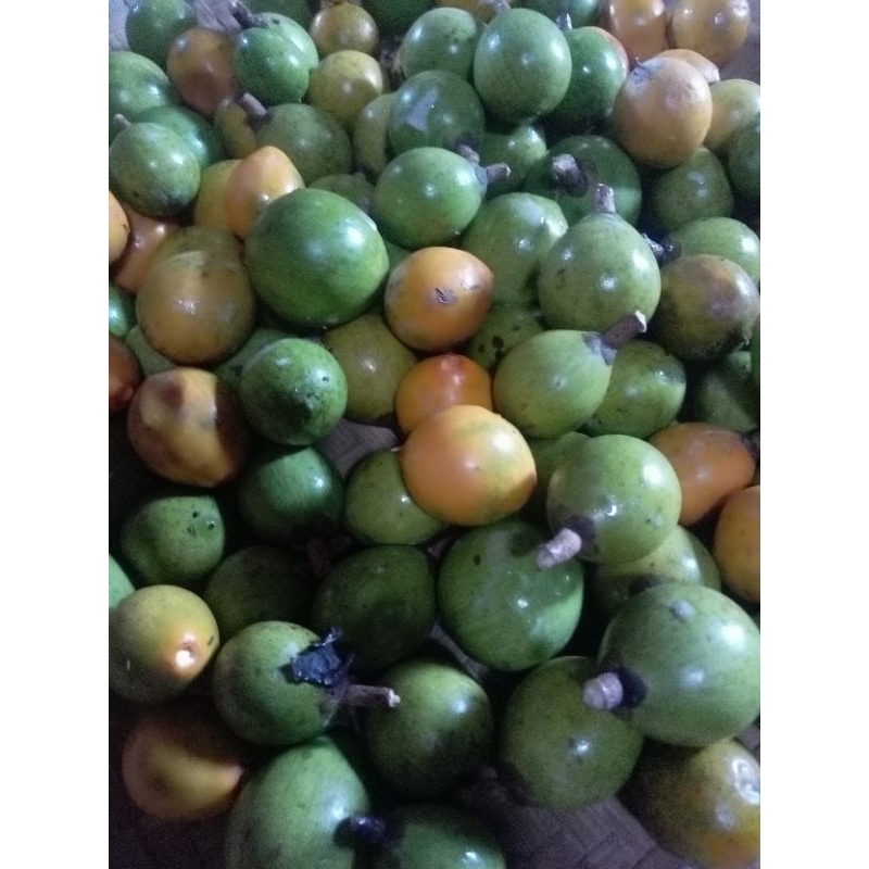 

buah campolay/buah campoleh segar s manis legit 500 grm