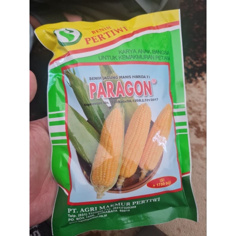 

BENIH JAGUNG MANIS PARAGON REPACK mulai 5 Ribuan (exp pertengahan 2025)