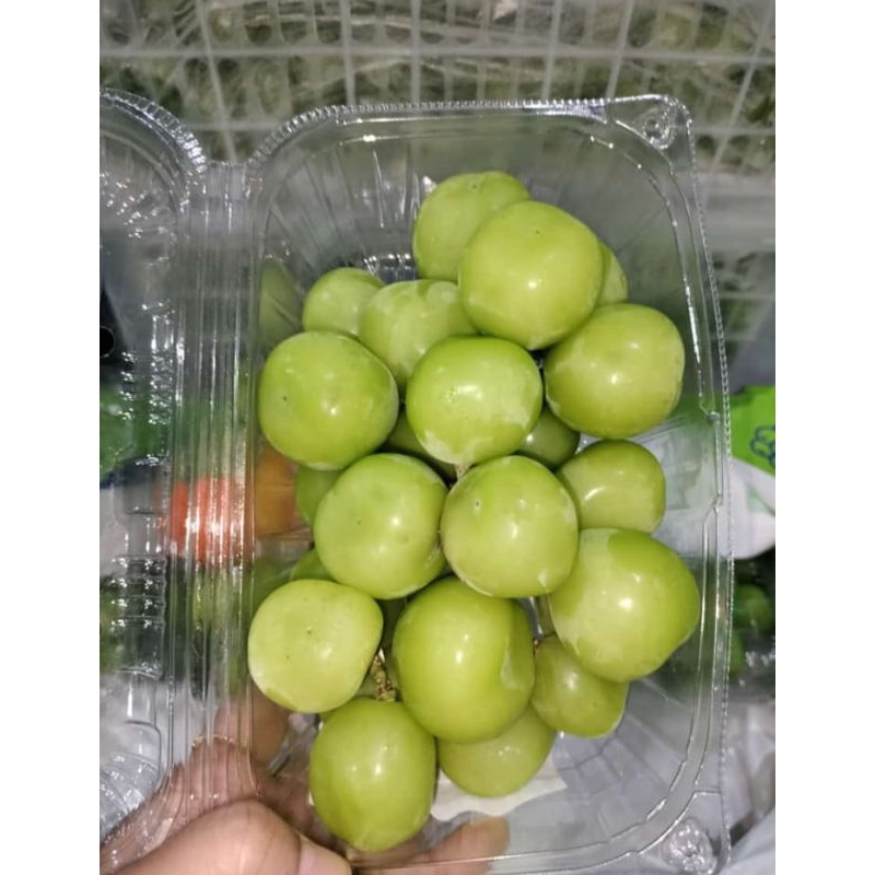 

(BUAH) ANGGUR SHINE MUSCAT I BUAH FRESH BY UTY I 1PACK