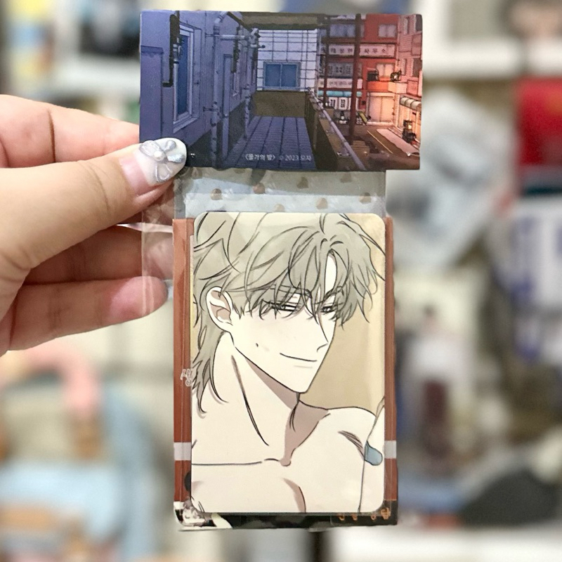 Low Tide In Twilight Band Aid Set