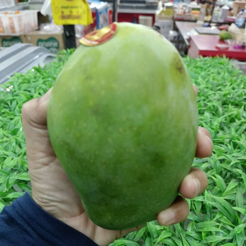 

Mangga Harum Manis 900gr - Toko Buah Darto Jaya