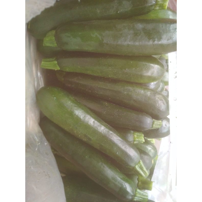 

Sayur Zukini super frash 1kg - 2kg