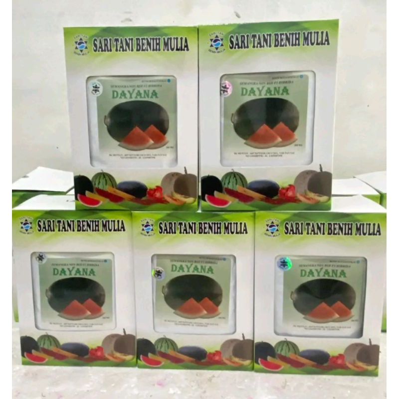 Benih Bibit Semangka Non biji Dayana F1, Tipe jumbo (Perawatan Mudah Tahan Virus) isi 20 Gram Kadalu