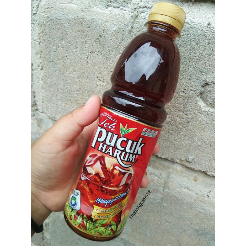 

Teh Pucuk