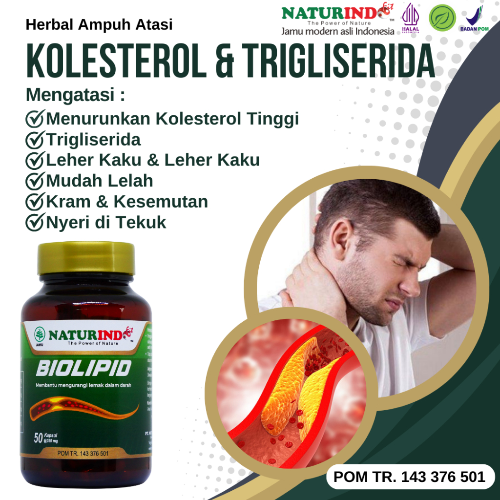 obat kolesterol paling ampuh obat kolesterol tinggi obat kolesterol herbal