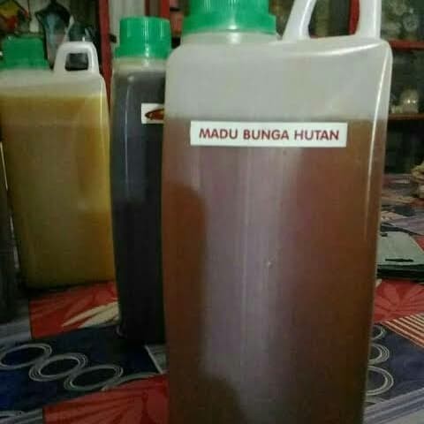 

Madu Raja Hutan 1 KG Kemasan Jerigen