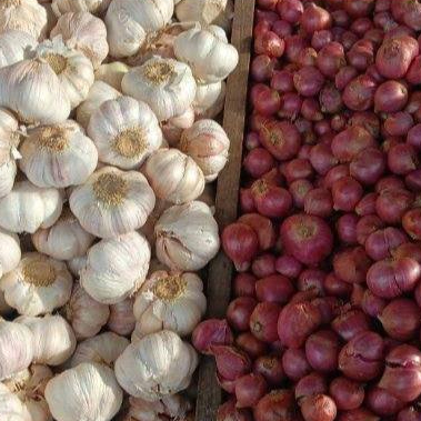 

Paket 1kg bawang merah dan bawang putih