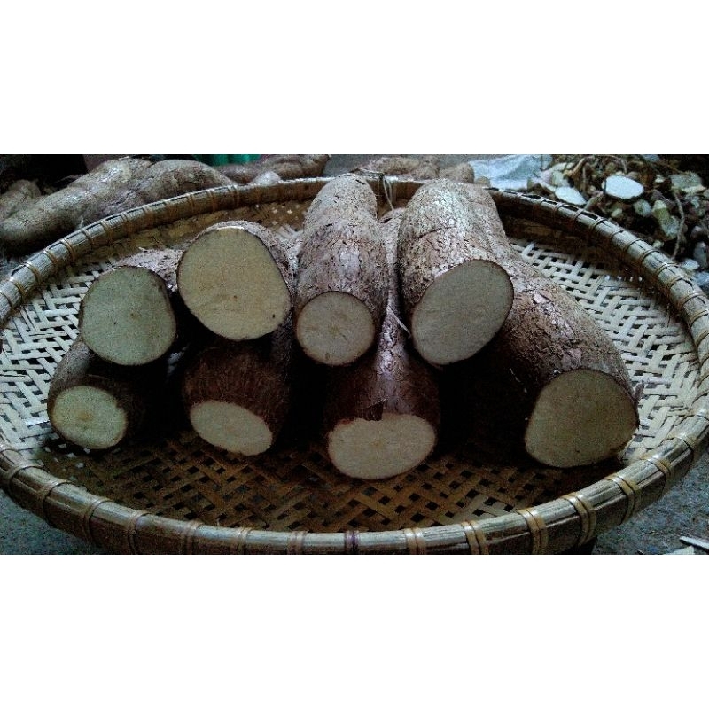 

PROMO DISKON BISA COD!!! Singkong Ketela Mentega 1000 gr ASLI WANADRI BANJARNEGARA