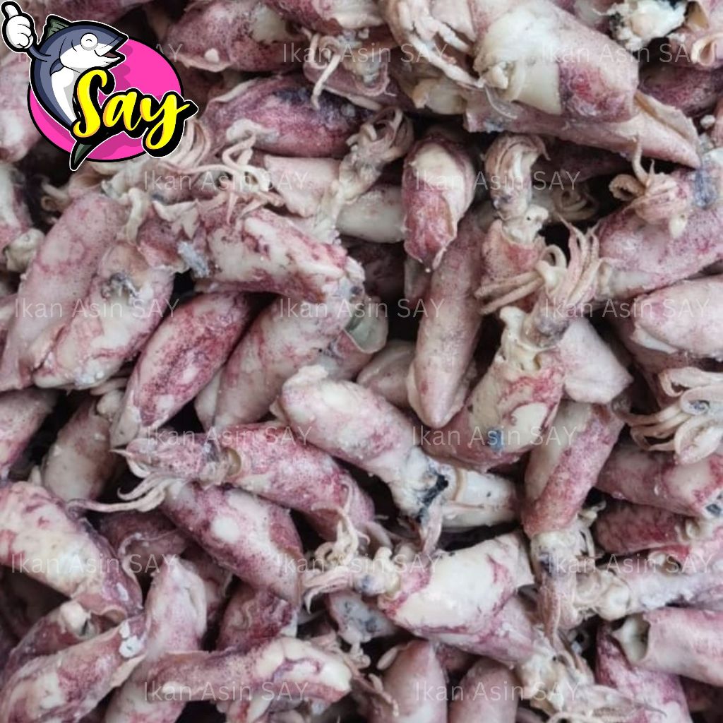 

Ikan Asin Cumi / Sotong Rebus Size Sedang 500gr