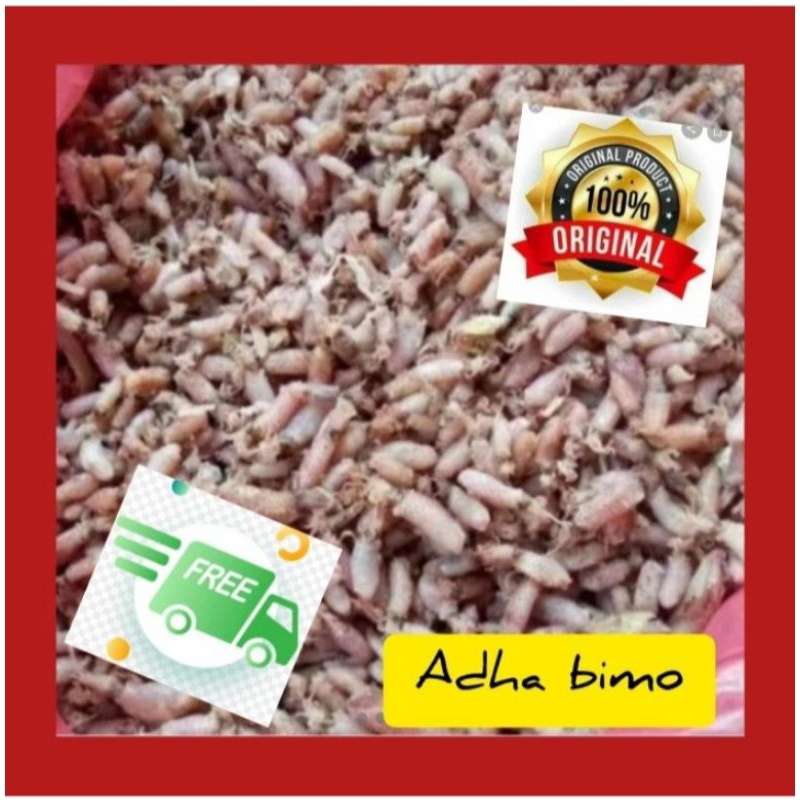 

ikan asin cumi baby 500 gr