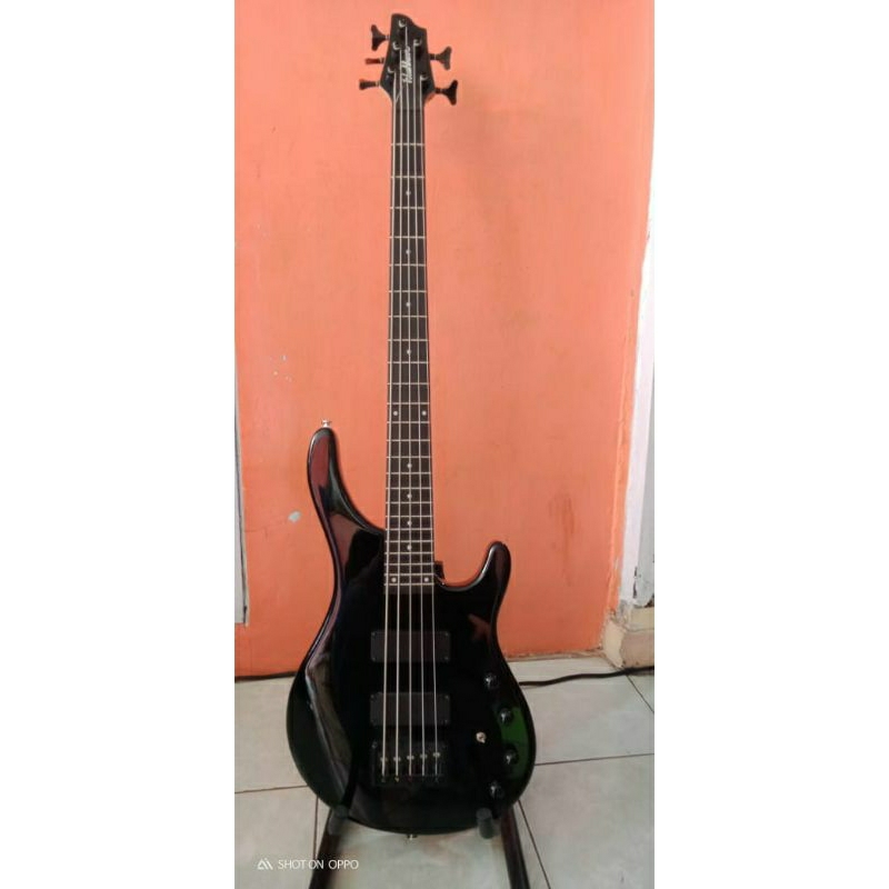 Bass 5 string PickUp Aktif Washburn