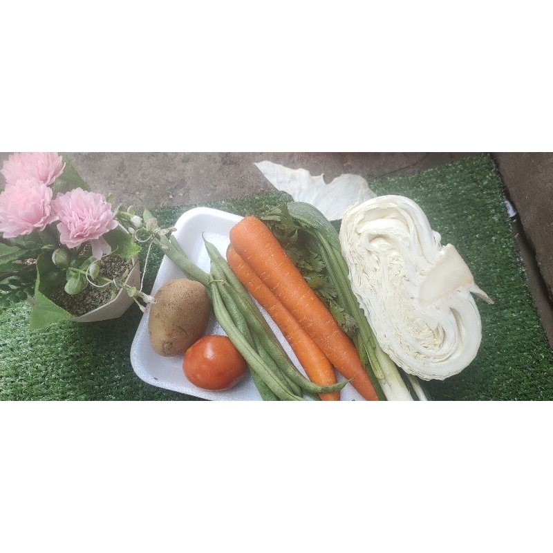 

Sayur Sop Biasa 1 Bungkus