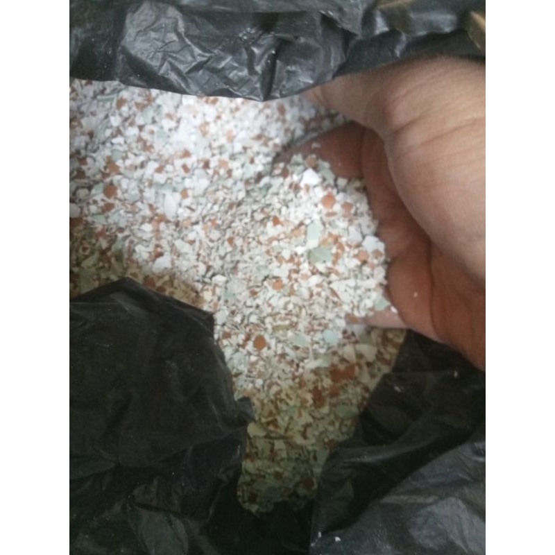CT / CANGKANG TELUR 1KG