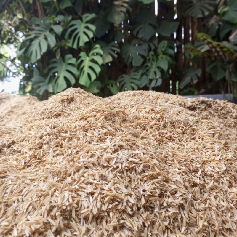 media tanam sekam mentah / media tanaman /media tanaman