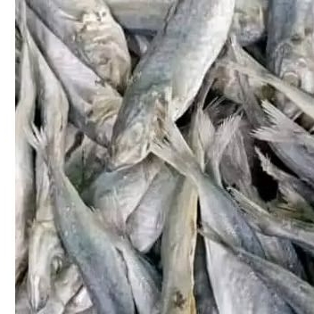 

Ikan Asin Japuh (Asin Buled) 100 gram