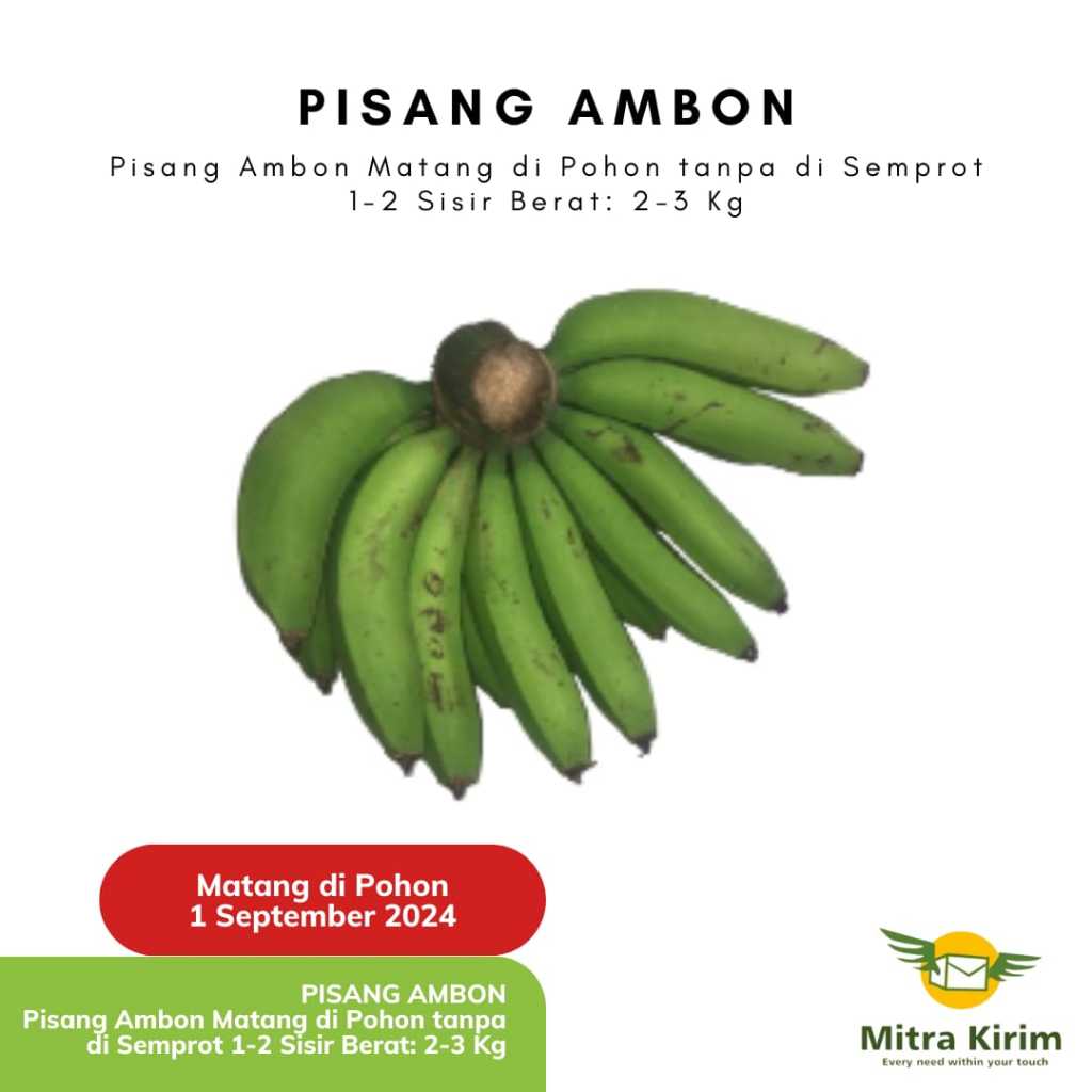 

Pisang Ambon Metik dari Belakang Rumah