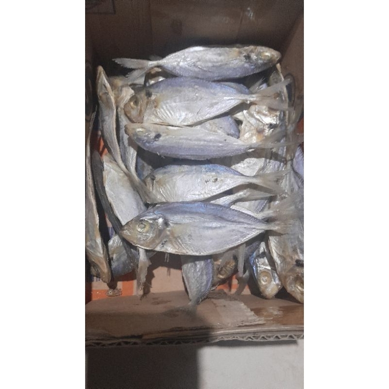 

Ikan Asin Selar Kemasan 100 Gram