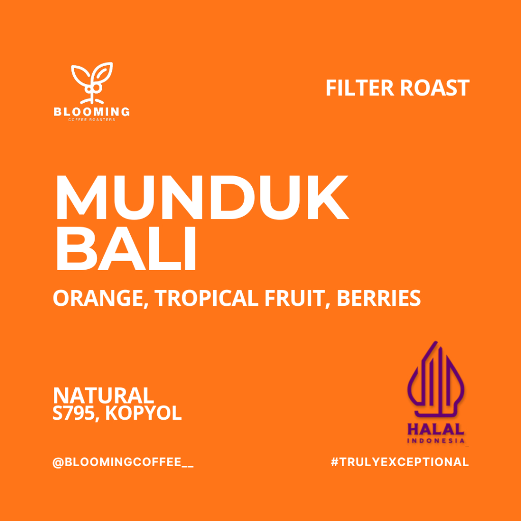 

Munduk Bali | Filter Roast | Blooming Coffee Biji Kopi Arabica