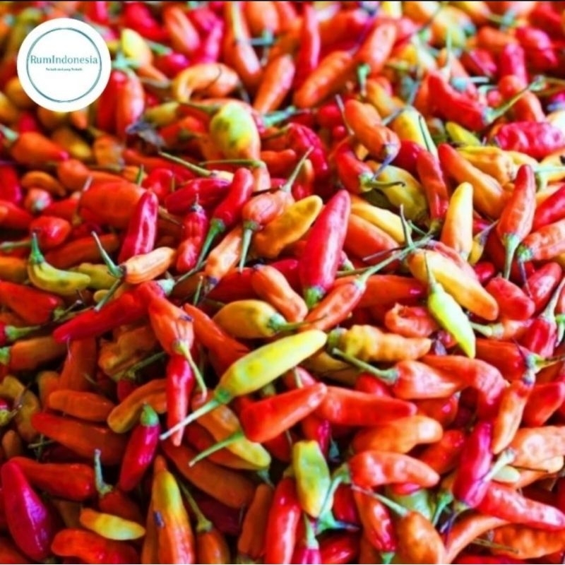 

cabe rawit merah fresh 1 pack/ cabe rawit setan 1 pack