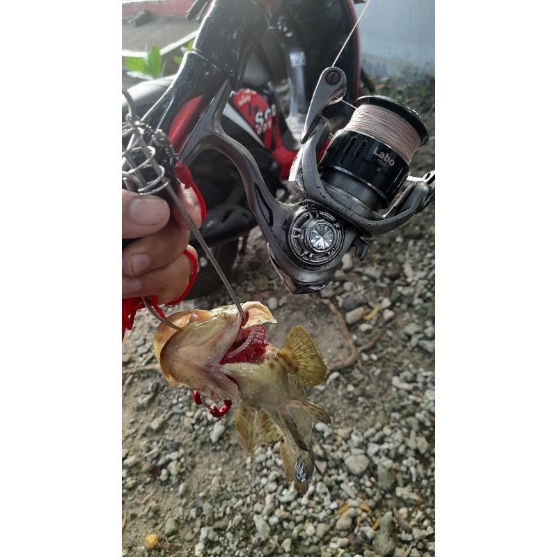 minow killer