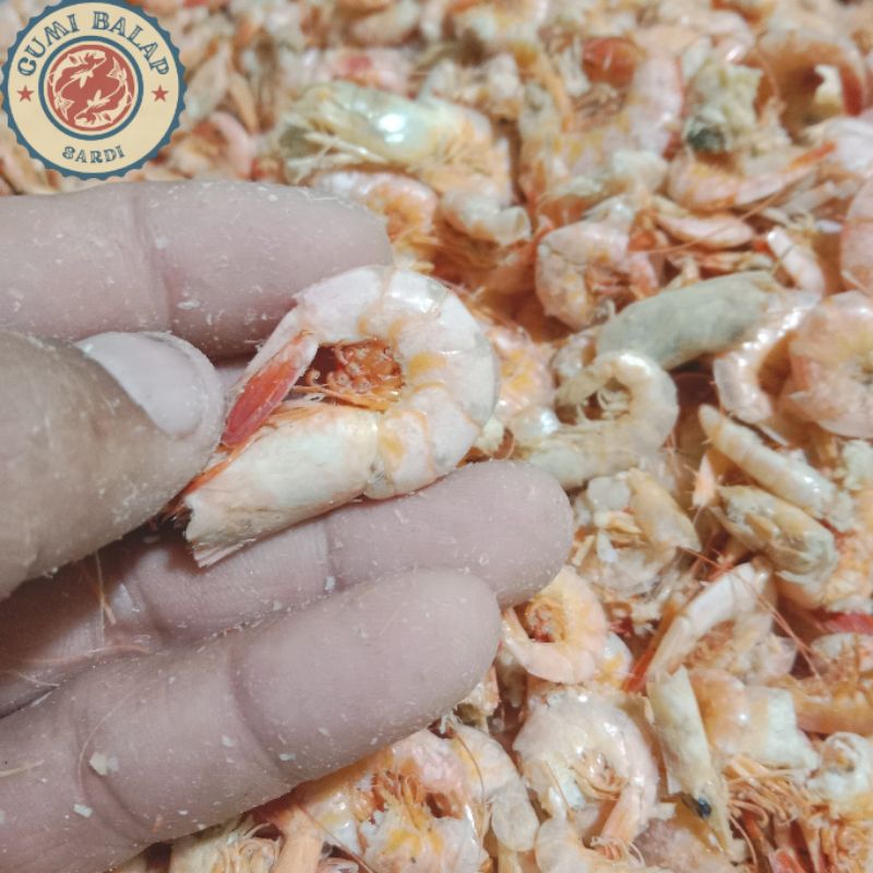 

ikan udang/udang