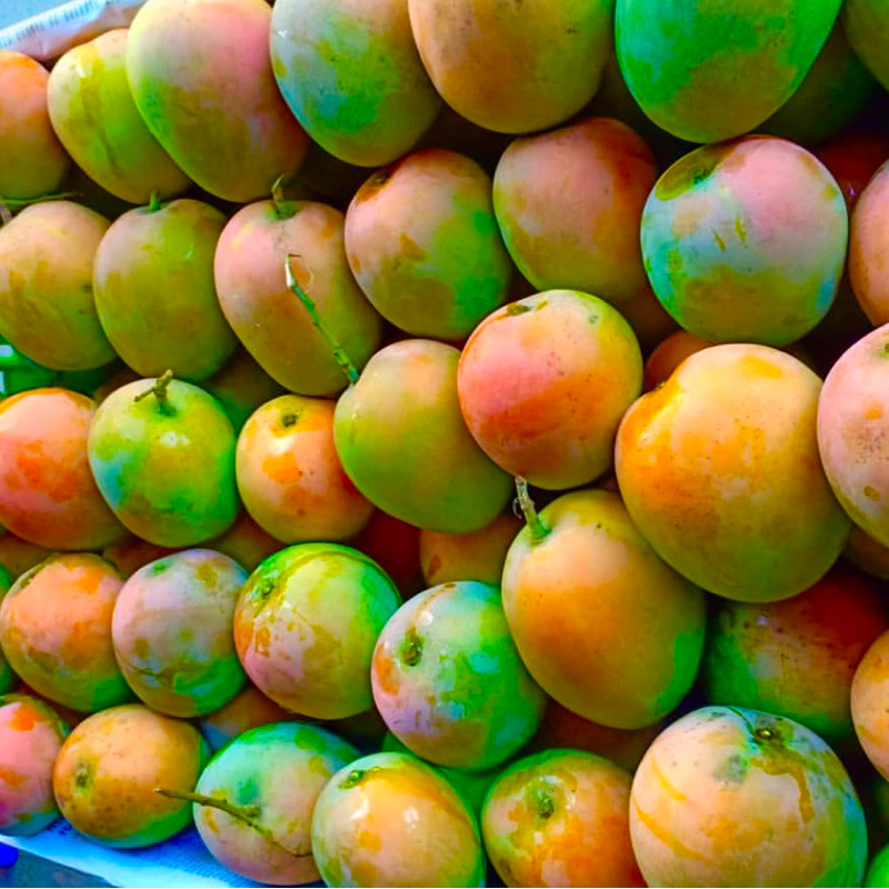 

PROMO Mangga Gedong Gincu Fresh 1kg