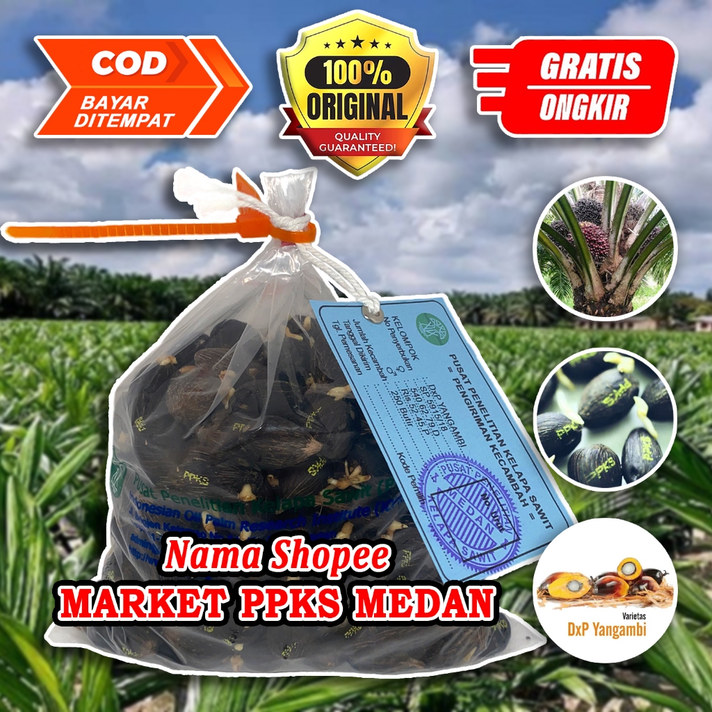 PPKS DxP YANGAMBI UNGGUL MEMILIKI SERTIFIKAT