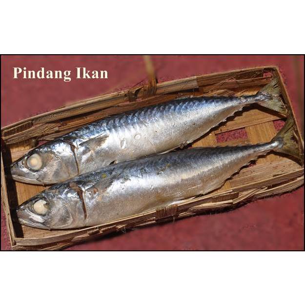 

ikan pindang tongkol @ 2 biji