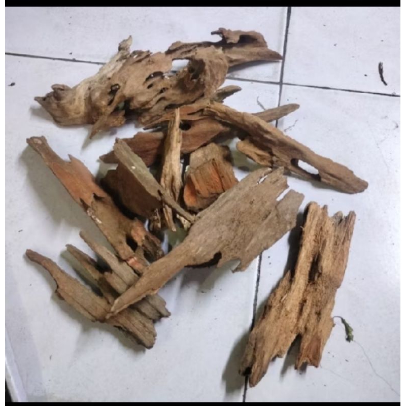 kayu rentek aquascape