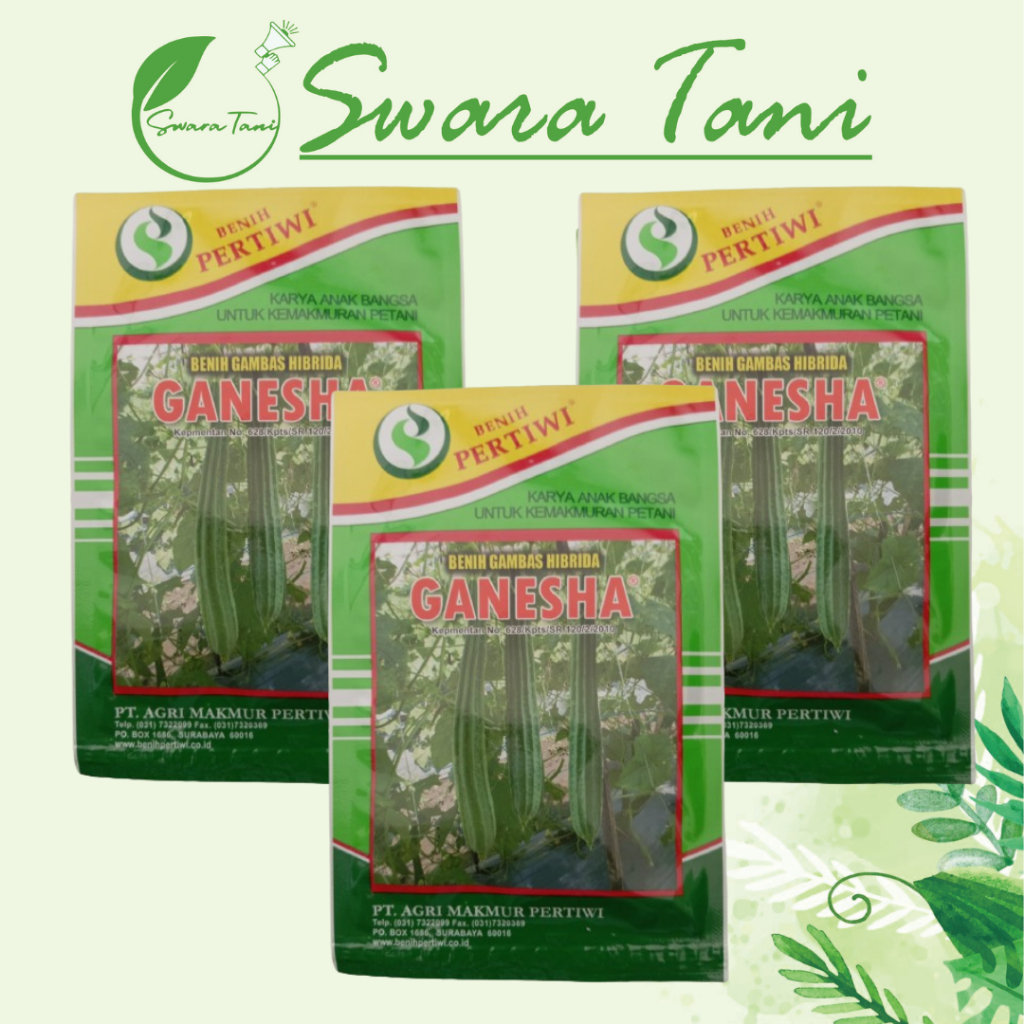 Benih Gambas Oyong GANESHA 10gr Pertiwi