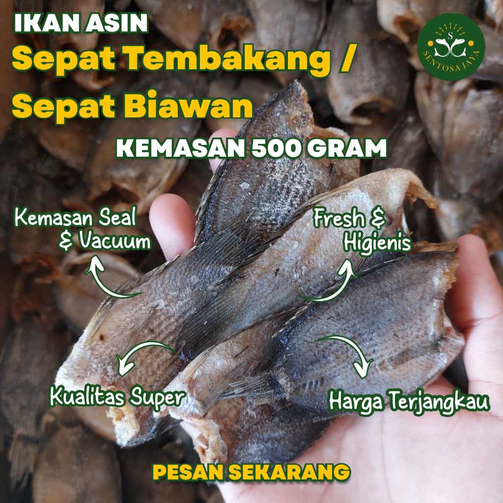 

Ikan Asin Biawan / Tembakang 500 Gram Ikan Asin Sepat Biawan / Tembakang