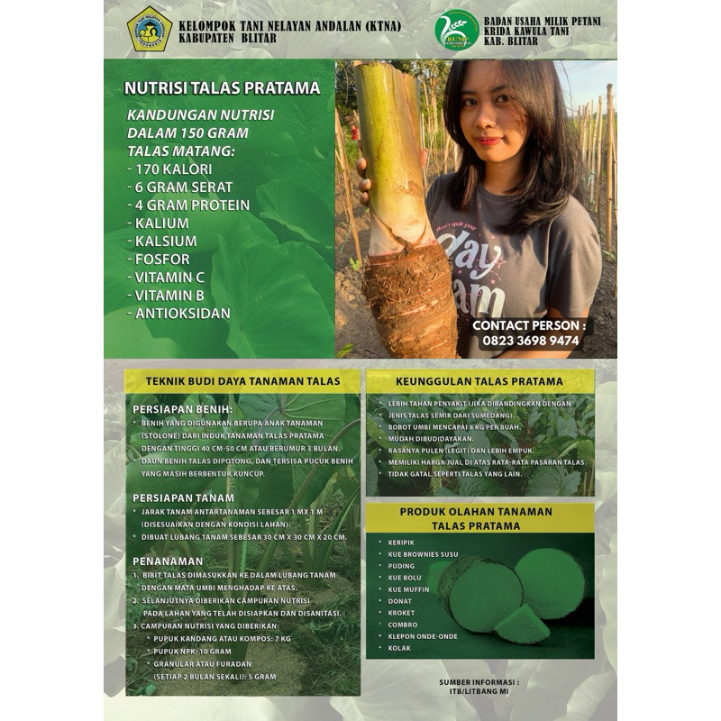 UMBI TALAS PRATAMA 2