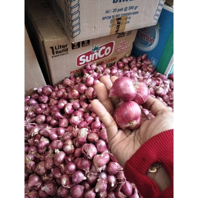 

bawang merah garing / brambang