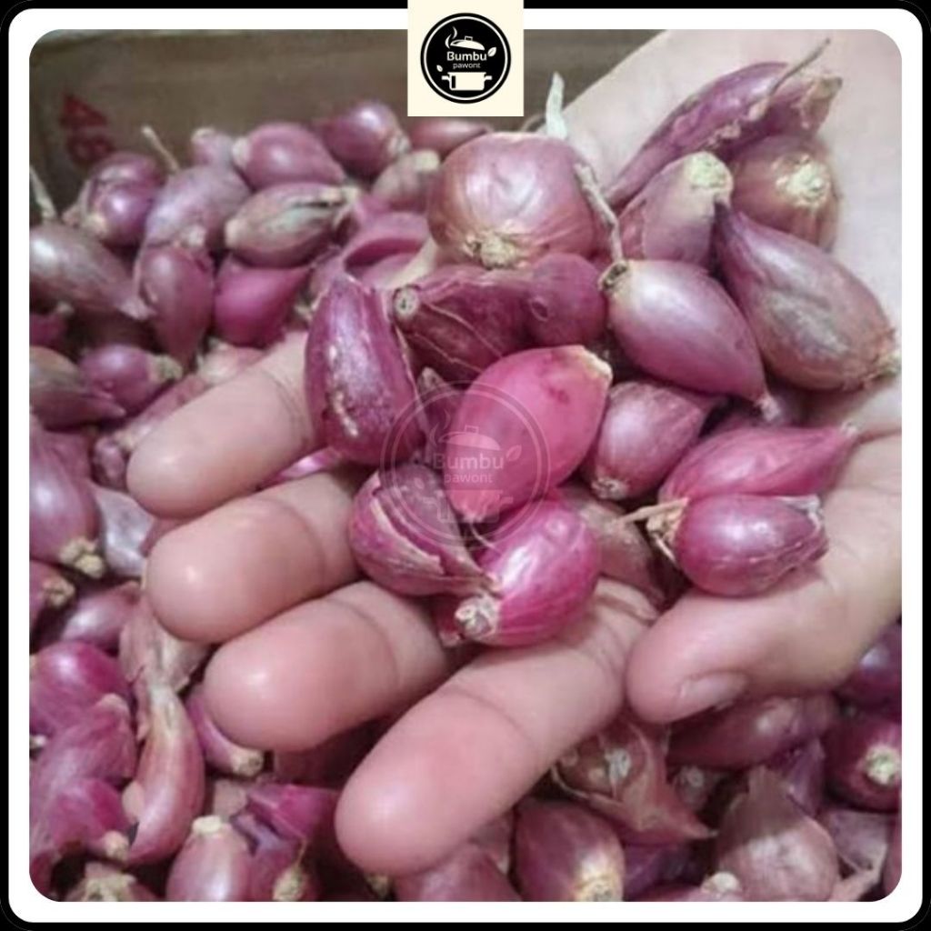 

Bawang Merah Ukuran Tanggung Kecil 1 Kg Bonus Royco 1 Sachet